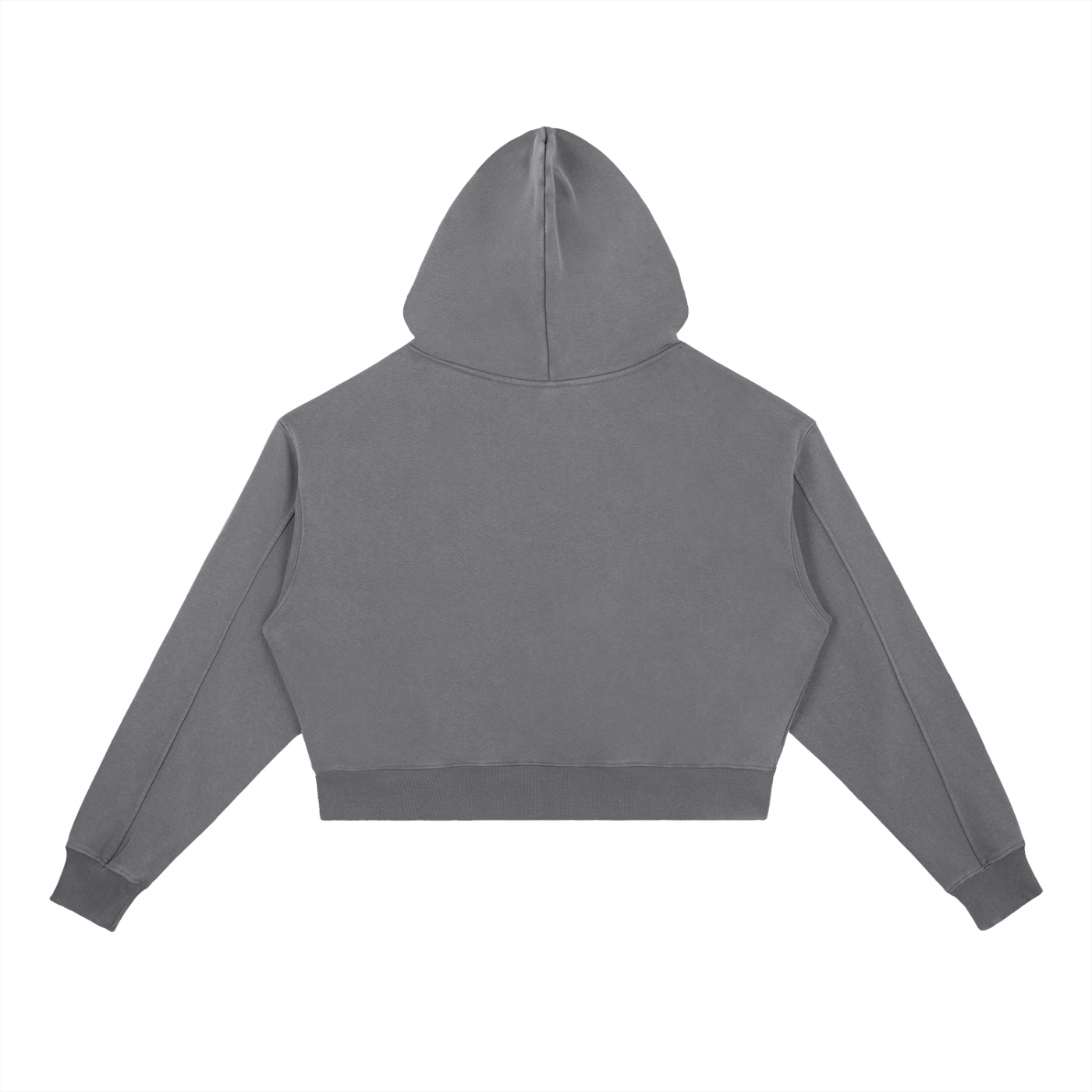 DELAPRIX Vintage Washed Heavyweight (Dark Gray) Hoodie