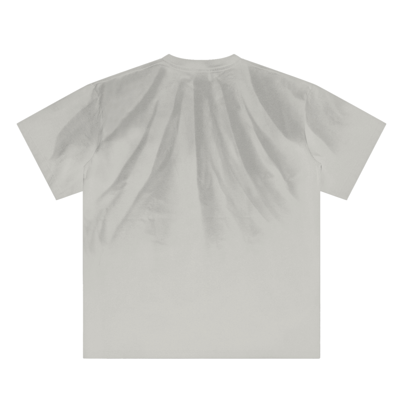 DELAPRIX Hand-Scrunched Sunfade (Gray Apricot) T-Shirt